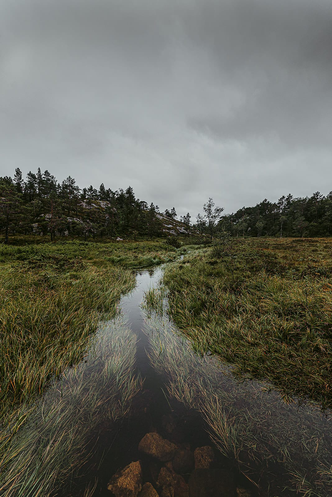 A narrow stream flows through a grassy, marshy landscape with scattered rocks, bordered by dense trees under a cloudy, overcast sky in Norway.
