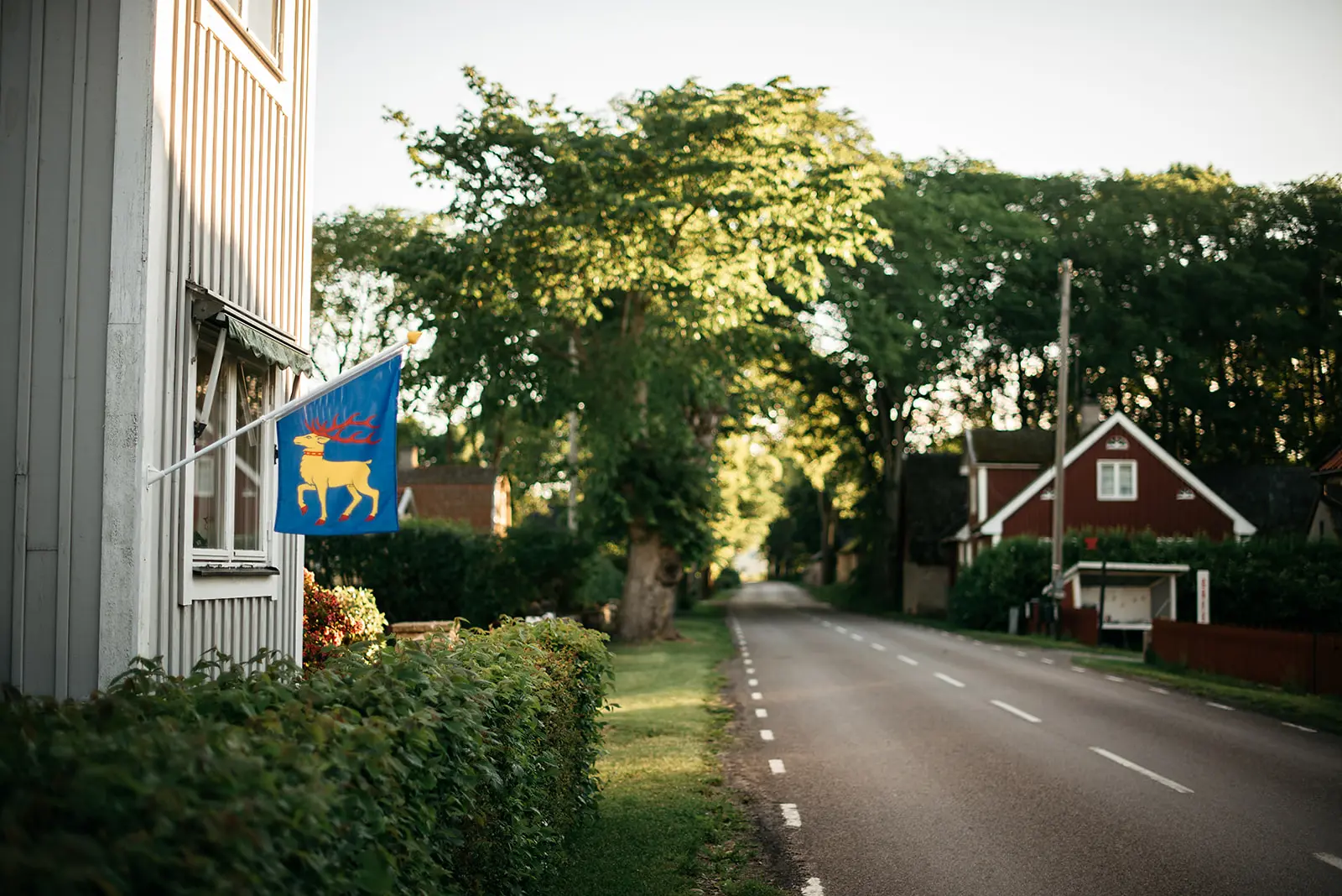 Swedish Summer