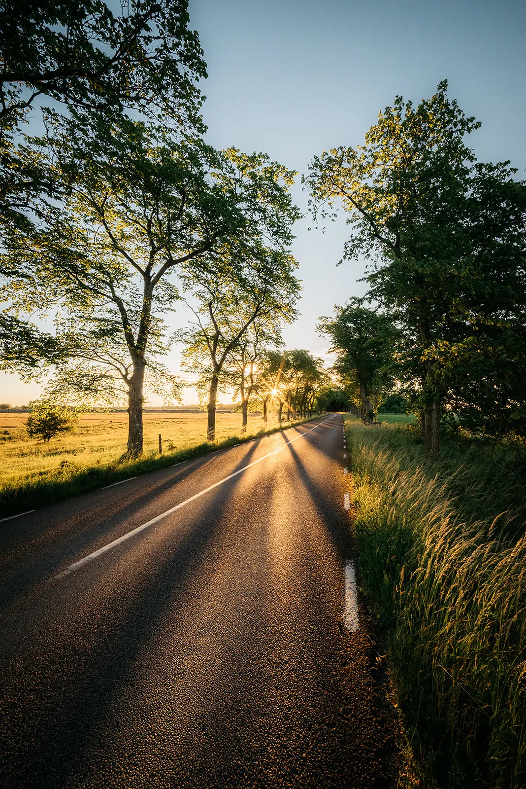 Swedish Summer