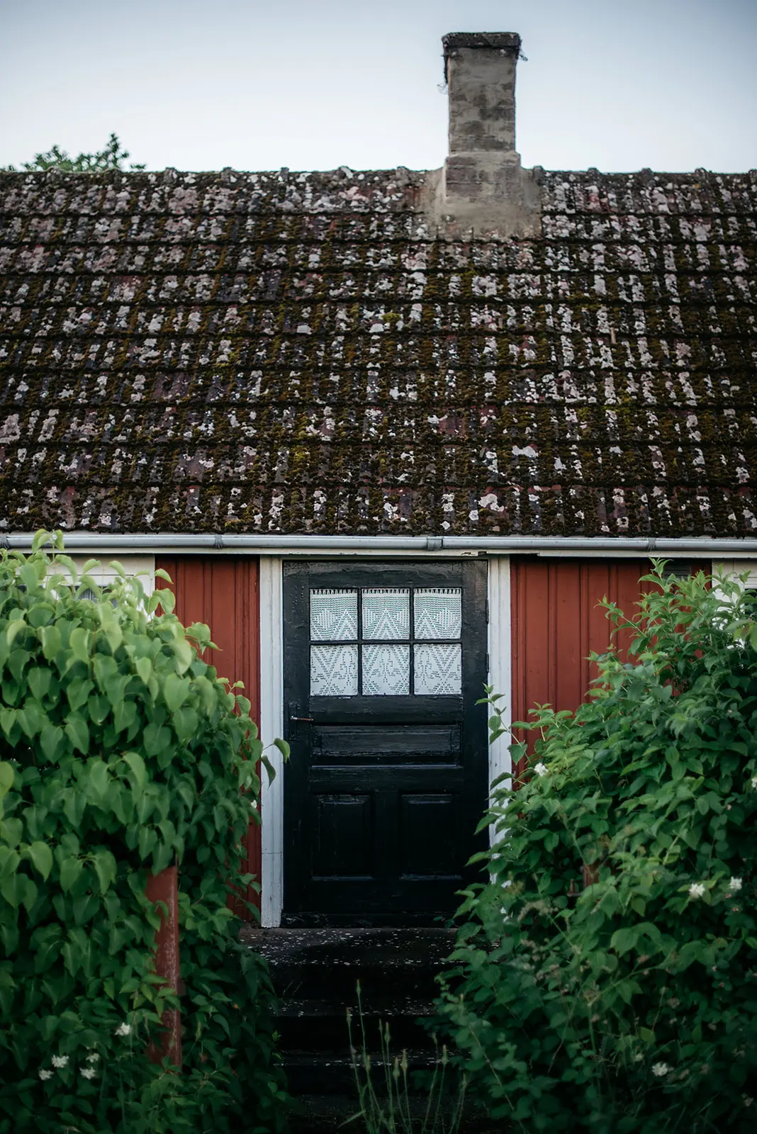 Swedish Summer