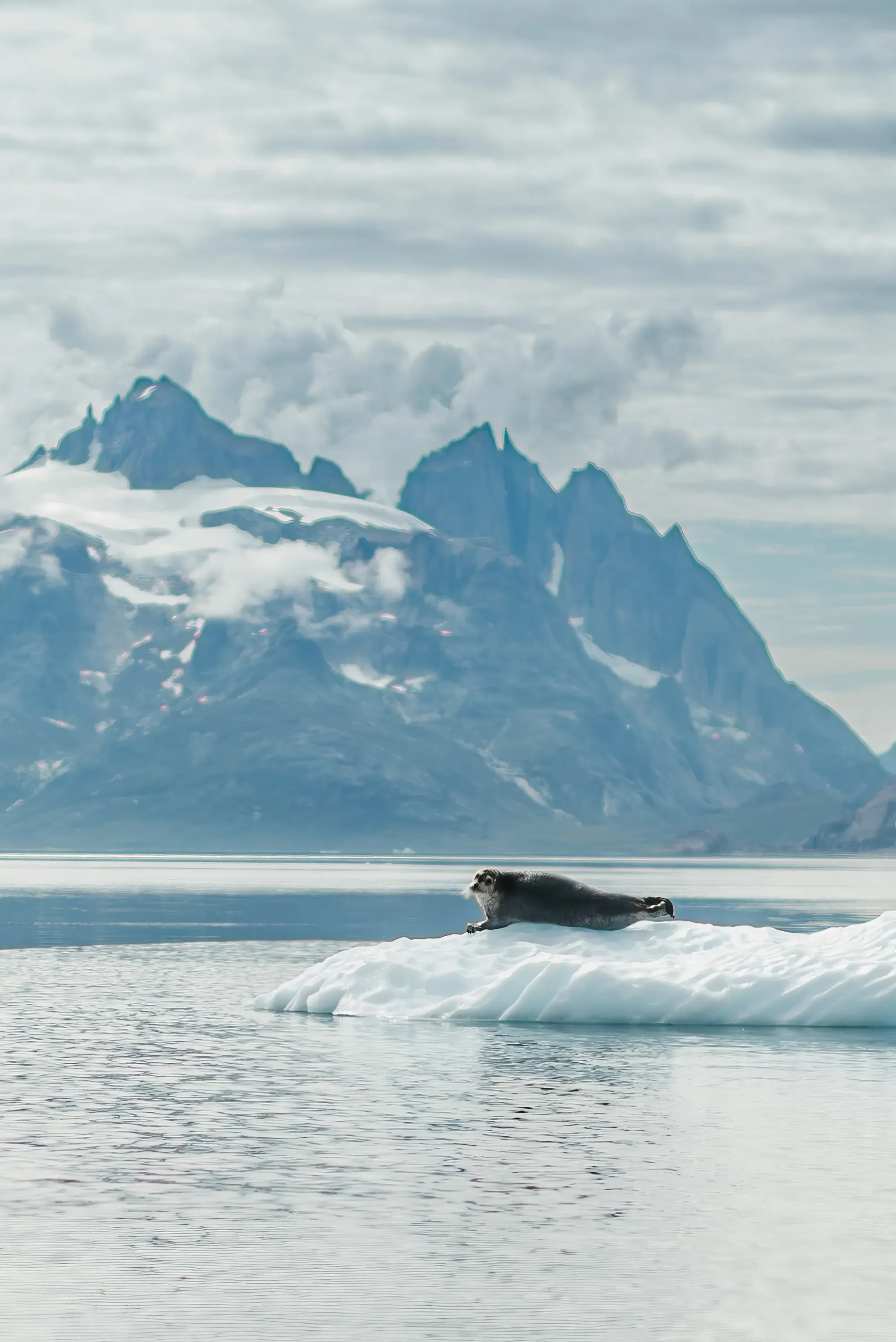 Greenland