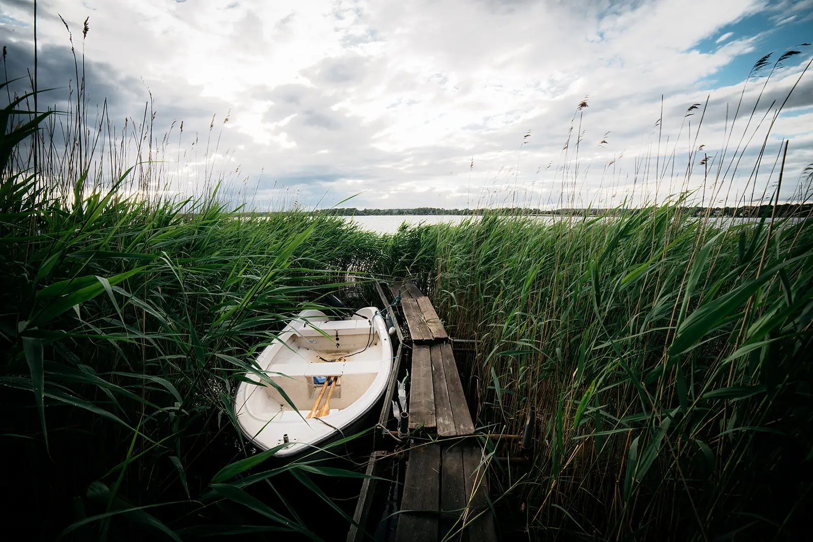 Swedish Summer