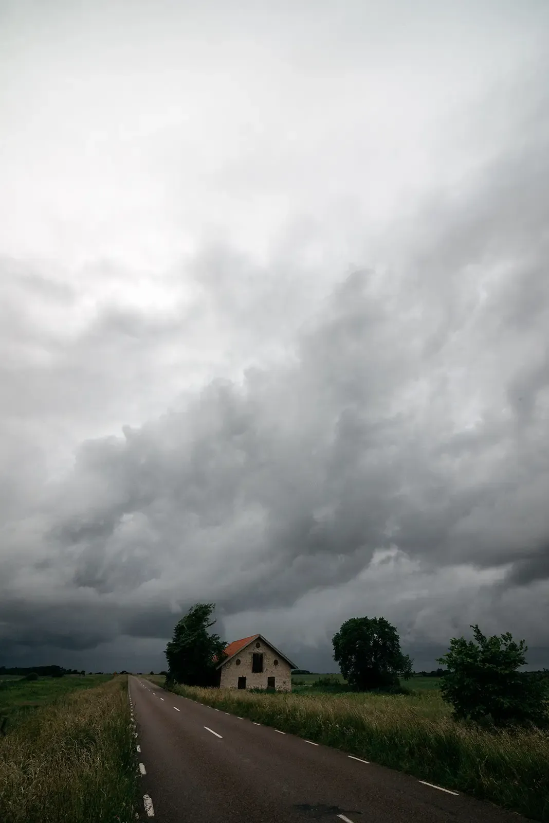 Swedish Summer