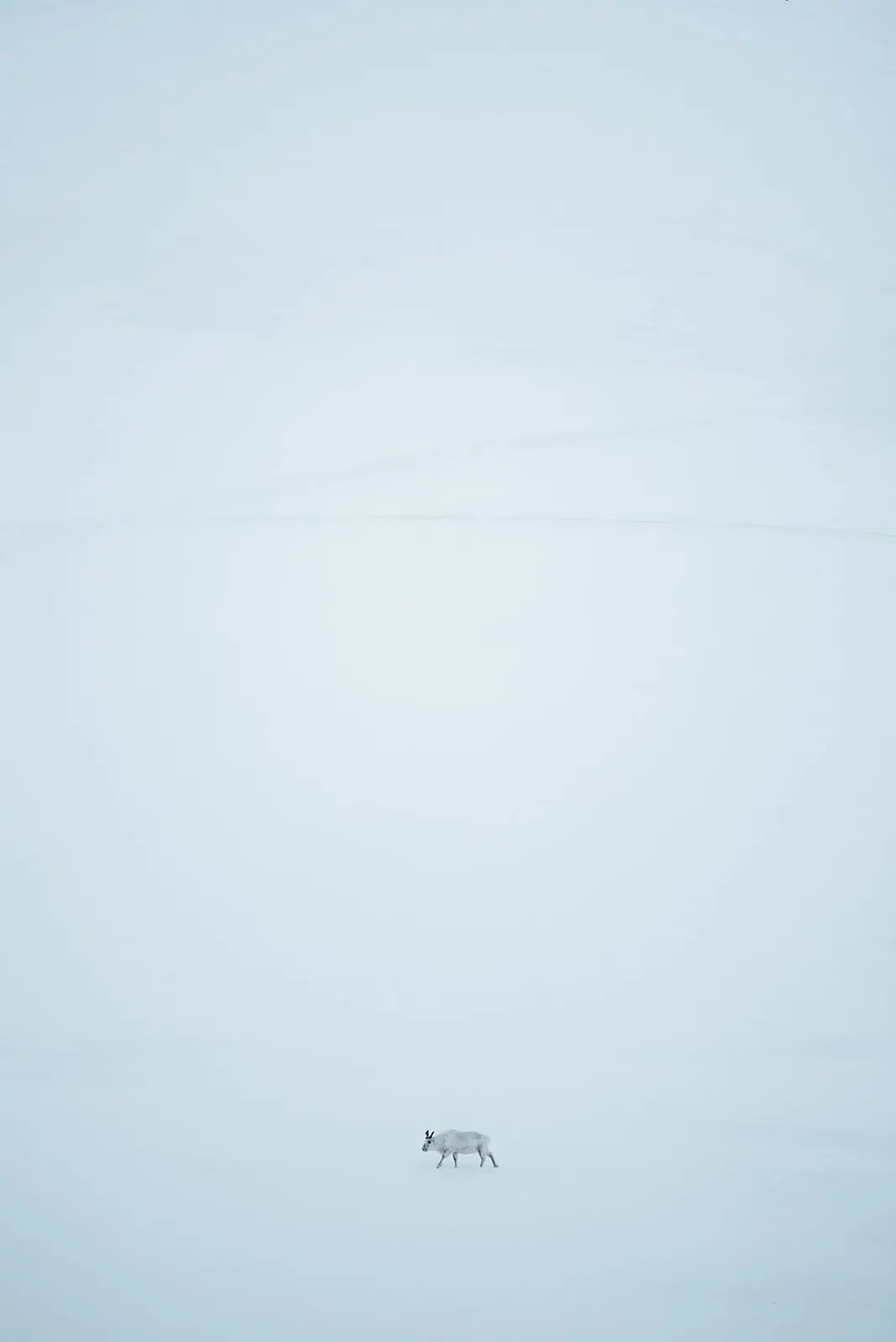Svalbard