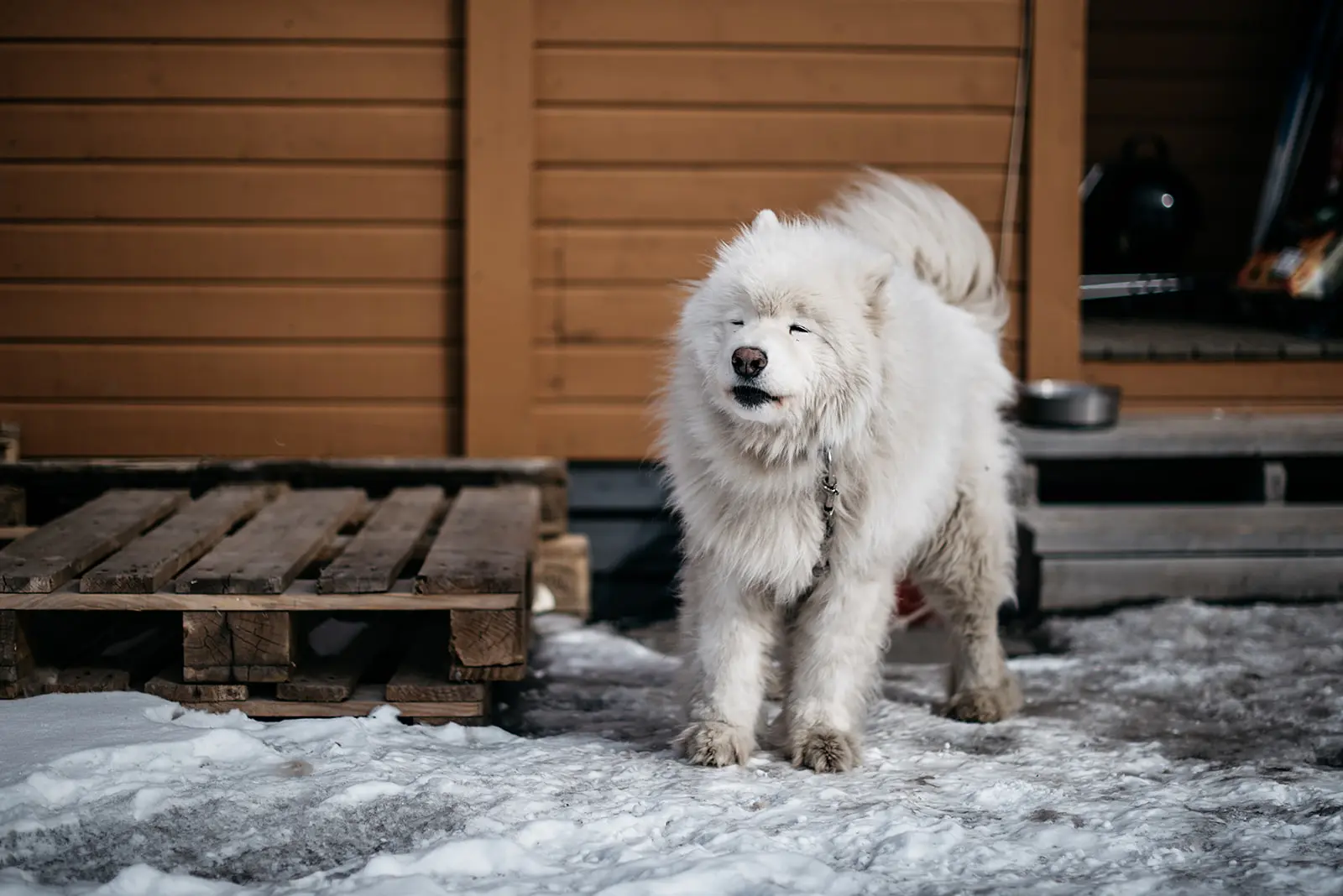 Svalbard