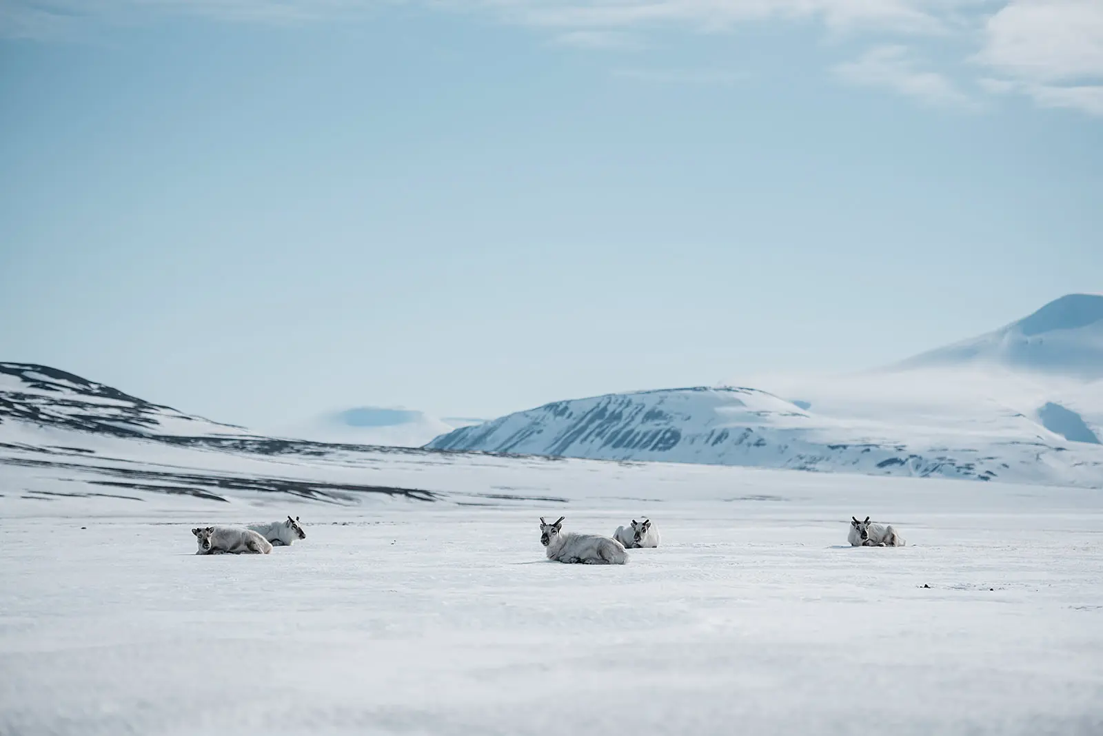 Svalbard