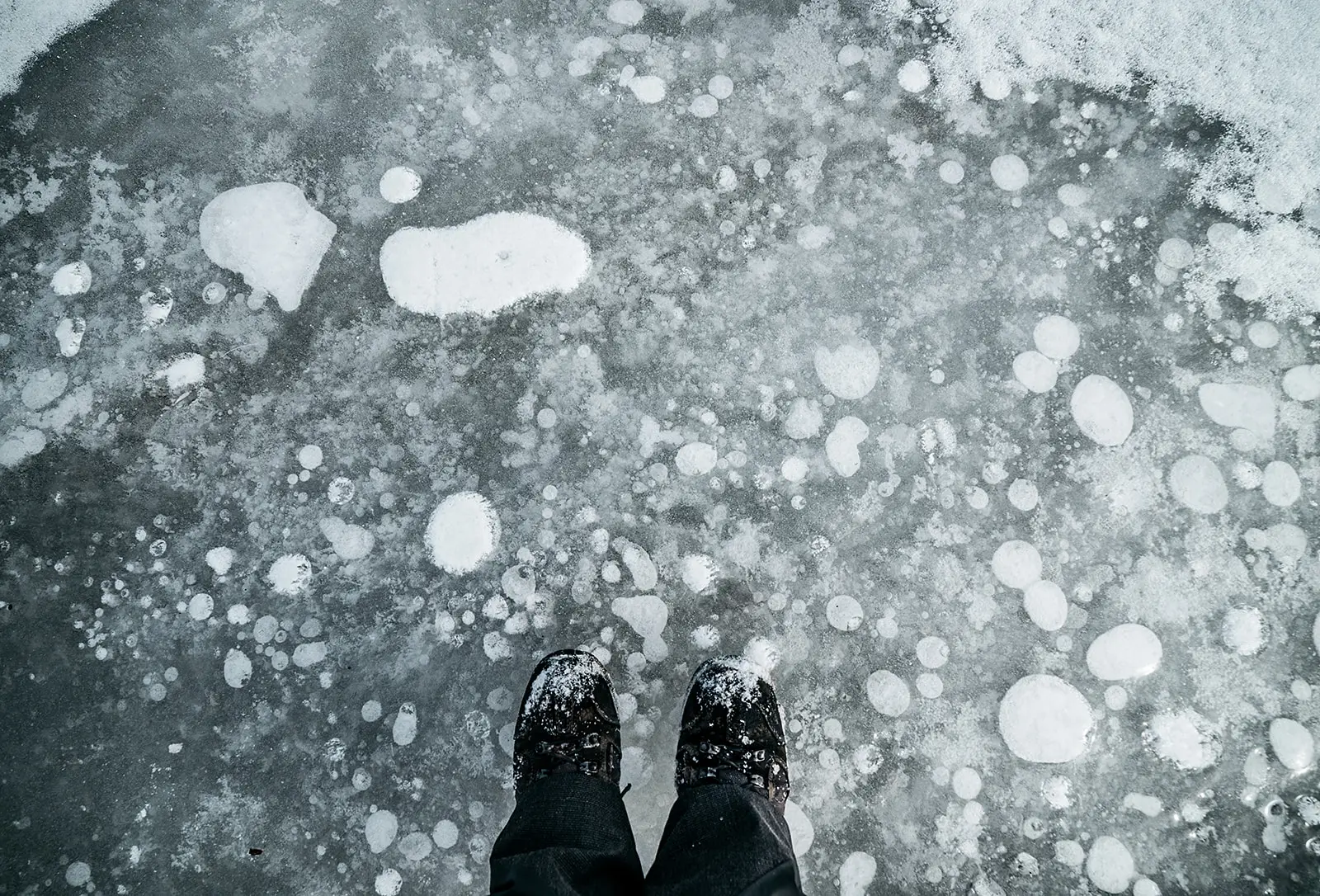 Svalbard