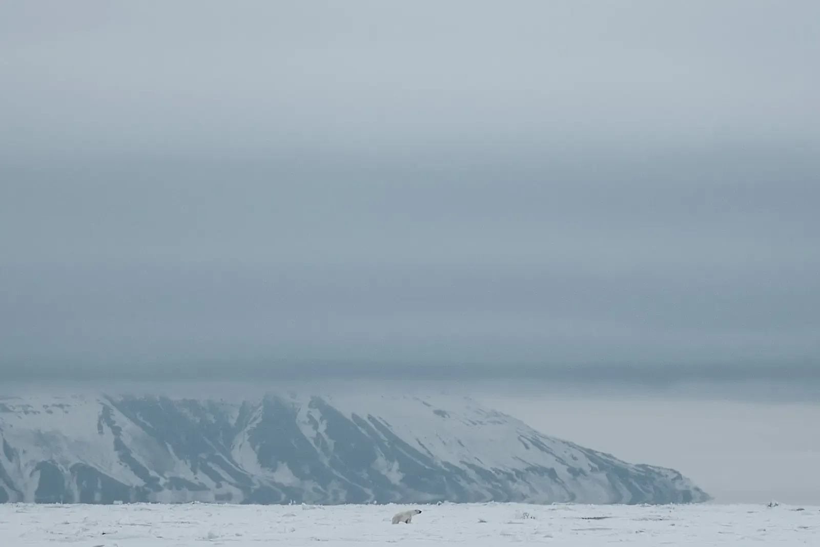 Svalbard