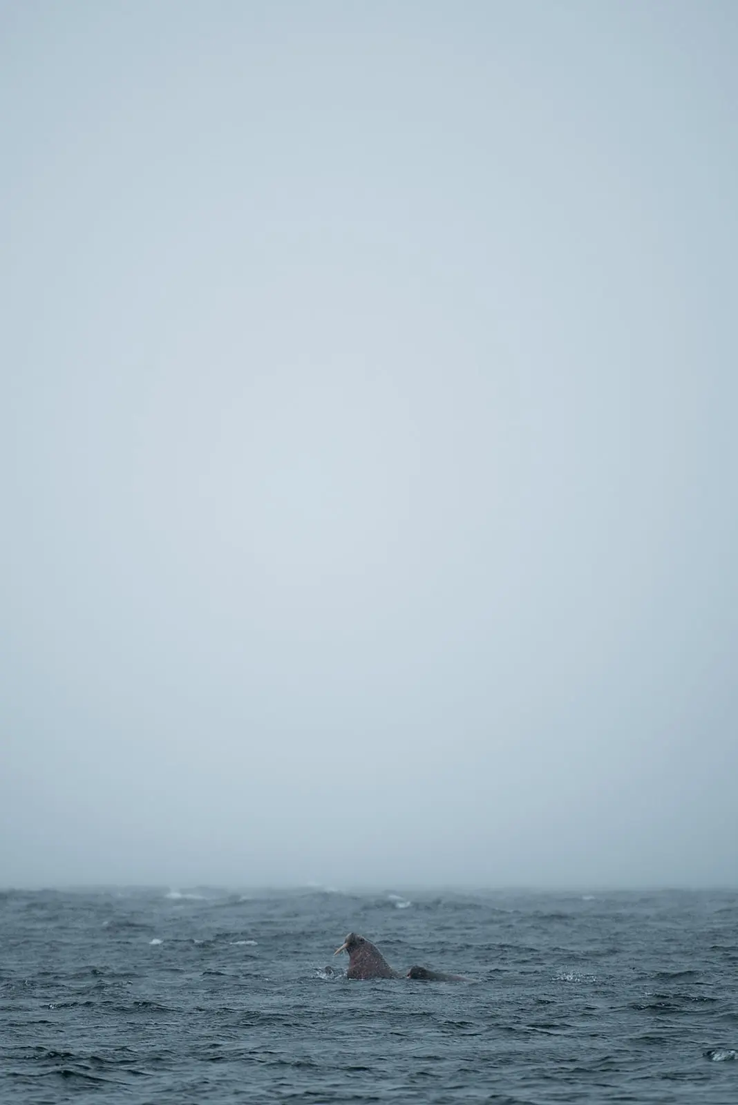 Svalbard