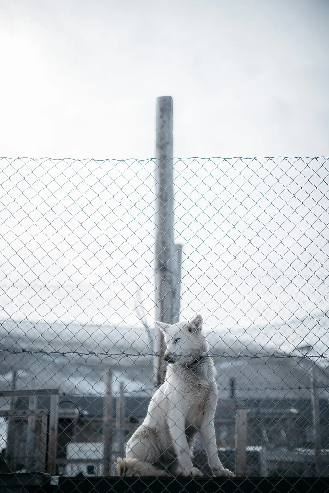 Svalbard